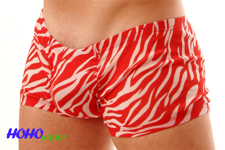 Sexy Zebra Print Men's Boxer Short Underwear #313