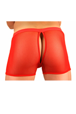Sexy Men's Fish-net Open Back Boxer shorts Underwear #309